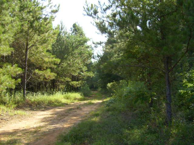 Whitetail Bottom Ranch