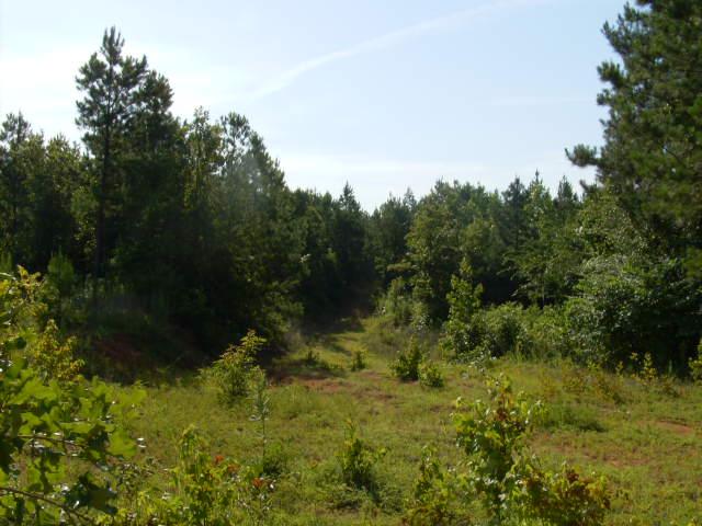 Whitetail Bottom Ranch