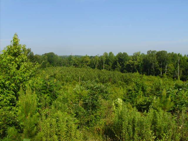 Whitetail Bottom Ranch